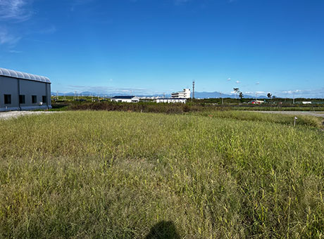 植樹1